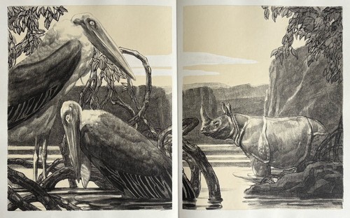 Paul jouve gravure animalière - paul,