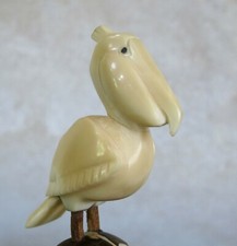 PELICAN, joli pélican en iv