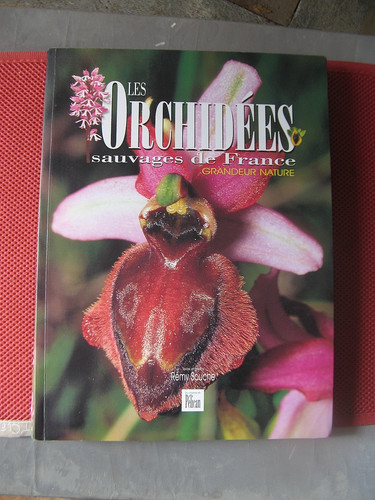 626 les orchidees - "626.11",