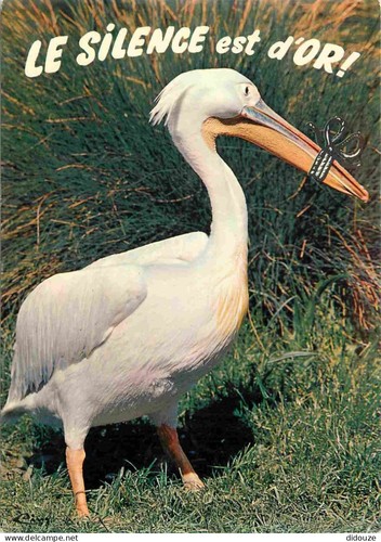 Carte postale animaux - carte,