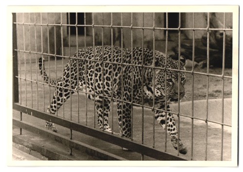 Photographies berlin - 14,