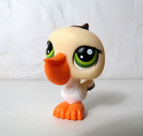 Petshop pélican oiseau